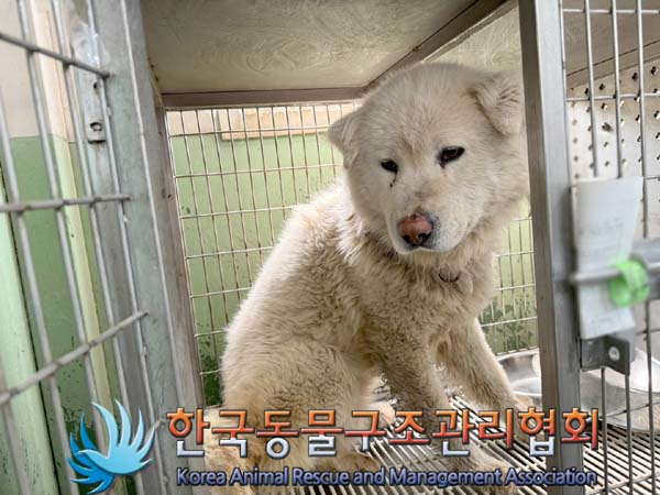 한국동물구조관리협회_441560202400503